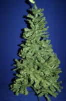 Елка CR02777 зеленая 150см (480Т*6см)